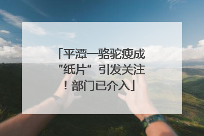 平潭一骆驼瘦成“纸片”引发关注！部门已介入
