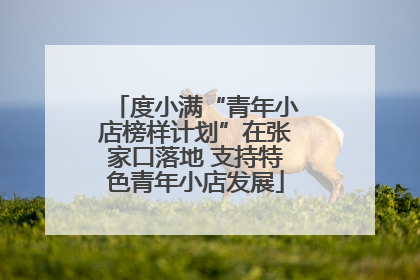 度小满“青年小店榜样计划”在张家口落地 支持特色青年小店发展