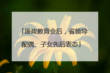 廉政教育会后，省领导配偶、子女先后表态