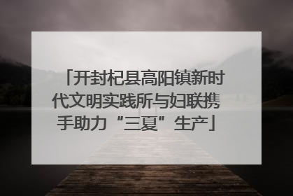 开封杞县高阳镇新时代文明实践所与妇联携手助力“三夏”生产