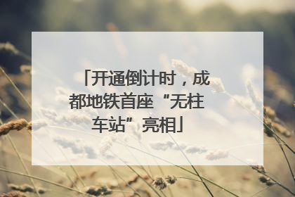 开通倒计时，成都地铁首座“无柱车站”亮相
