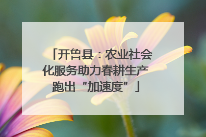 开鲁县：农业社会化服务助力春耕生产跑出“加速度”