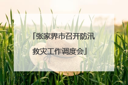 张家界市召开防汛救灾工作调度会
