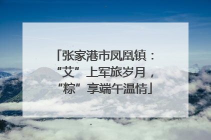 张家港市凤凰镇：“艾”上军旅岁月，“粽”享端午温情