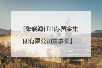 张晓海任山东黄金集团有限公司董事长