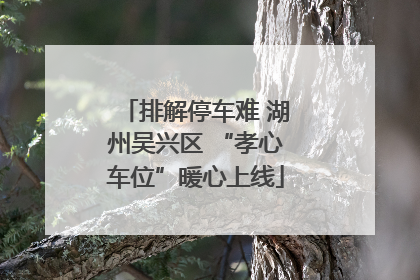 排解停车难 湖州吴兴区 “孝心车位”暖心上线