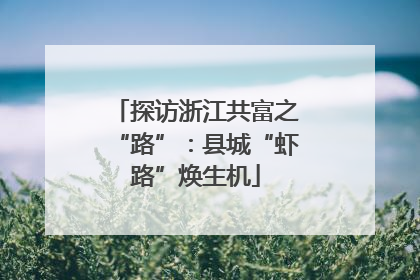 探访浙江共富之“路”：县城“虾路”焕生机