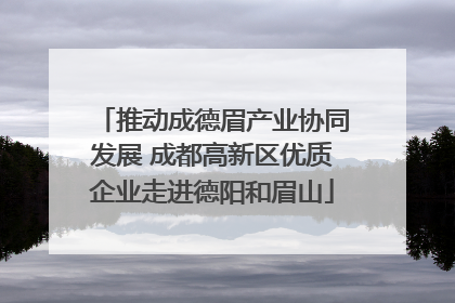 推动成德眉产业协同发展 成都高新区优质企业走进德阳和眉山