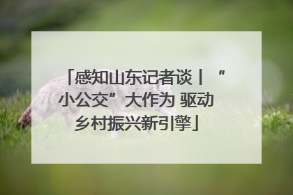 感知山东记者谈丨“小公交”大作为 驱动乡村振兴新引擎