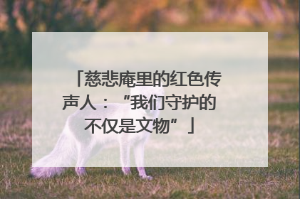 慈悲庵里的红色传声人：“我们守护的不仅是文物”