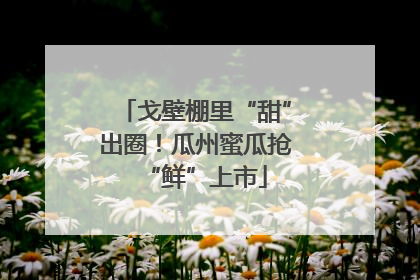 戈壁棚里“甜”出圈！瓜州蜜瓜抢“鲜”上市