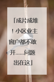 成片成堆！小区业主窗户都不敢开……问题出在这