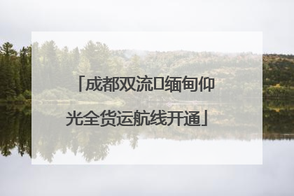 成都双流⇌缅甸仰光全货运航线开通