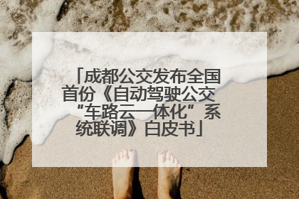 成都公交发布全国首份《自动驾驶公交“车路云一体化”系统联调》白皮书