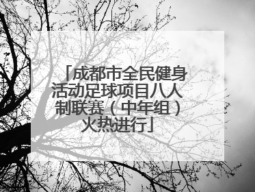 成都市全民健身活动足球项目八人制联赛（中年组）火热进行