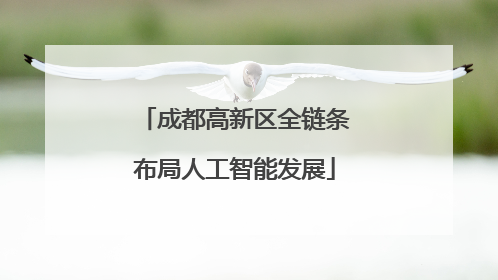 成都高新区全链条布局人工智能发展