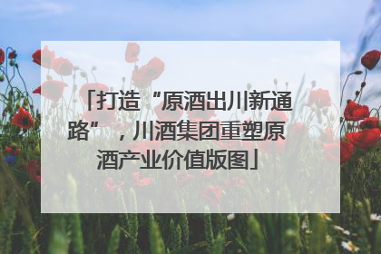 打造“原酒出川新通路”，川酒集团重塑原酒产业价值版图