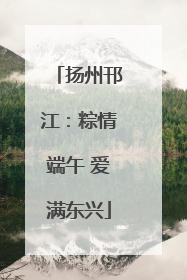 扬州邗江：粽情端午 爱满东兴
