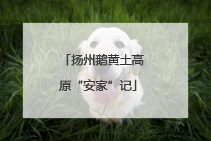 扬州鹅黄土高原“安家”记