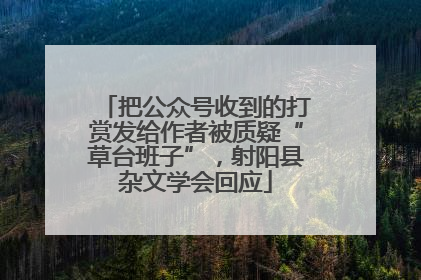 把公众号收到的打赏发给作者被质疑“草台班子”，射阳县杂文学会回应