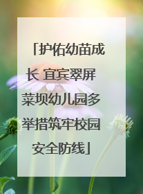 护佑幼苗成长 宜宾翠屏菜坝幼儿园多举措筑牢校园安全防线