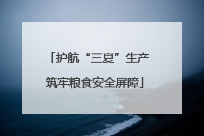 护航“三夏”生产 筑牢粮食安全屏障