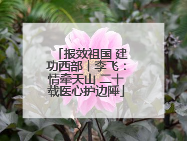 报效祖国 建功西部丨李飞：情牵天山 二十载医心护边陲