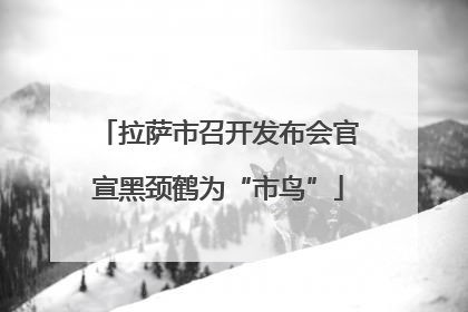 拉萨市召开发布会官宣黑颈鹤为“市鸟”