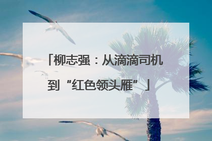 柳志强：从滴滴司机到“红色领头雁”