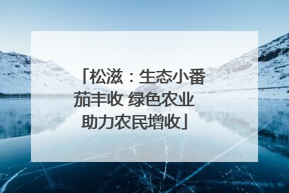松滋：生态小番茄丰收 绿色农业助力农民增收