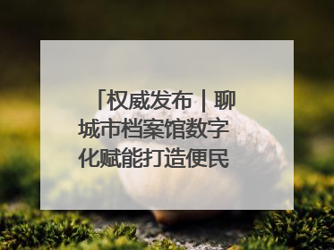 权威发布｜聊城市档案馆数字化赋能打造便民服务新模式