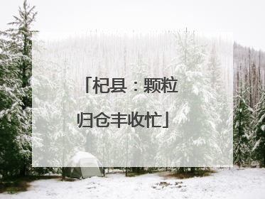 杞县：颗粒归仓丰收忙