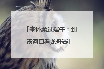 来怀柔过端午：到汤河口看龙舟赛