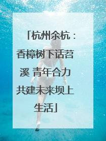 杭州余杭：香樟树下话苕溪 青年合力共建未来坝上生活