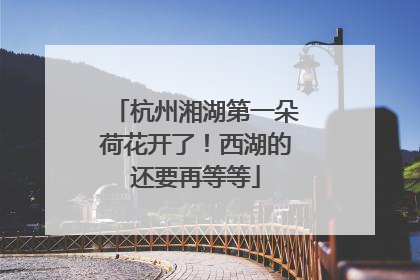 杭州湘湖第一朵荷花开了！西湖的还要再等等
