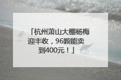 杭州萧山大棚杨梅迎丰收,96颗能卖到400元!