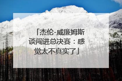 杰伦-威廉姆斯谈闯进总决赛：感觉太不真实了