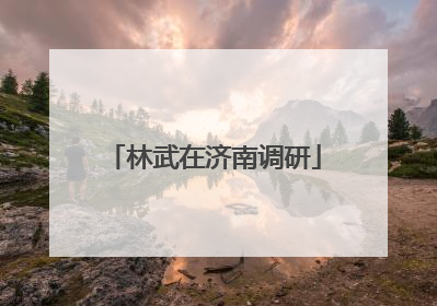 林武在济南调研