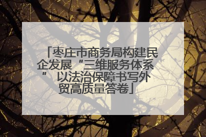 枣庄市商务局构建民企发展“三维服务体系” 以法治保障书写外贸高质量答卷