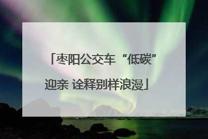 枣阳公交车“低碳”迎亲 诠释别样浪漫