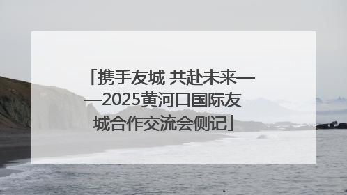 携手友城 共赴未来——2025黄河口国际友城合作交流会侧记