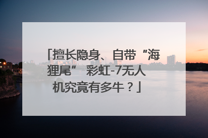 擅长隐身、自带“海狸尾” 彩虹-7无人机究竟有多牛？
