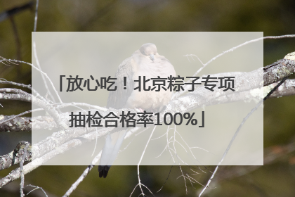 放心吃！北京粽子专项抽检合格率100%