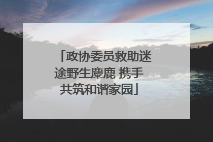 政协委员救助迷途野生麋鹿 携手共筑和谐家园