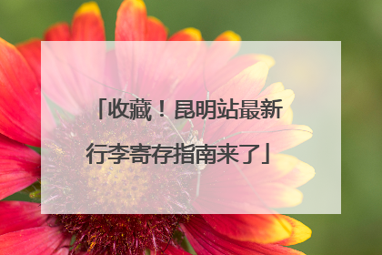 收藏！昆明站最新行李寄存指南来了