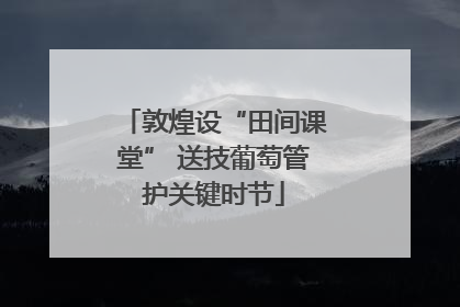 敦煌设“田间课堂” 送技葡萄管护关键时节