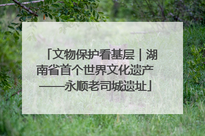 文物保护看基层｜湖南省首个世界文化遗产——永顺老司城遗址