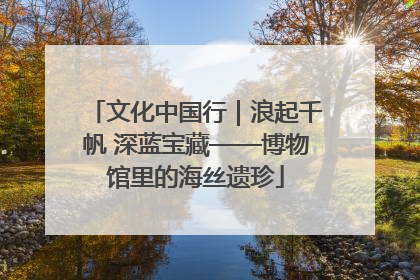 文化中国行｜浪起千帆 深蓝宝藏——博物馆里的海丝遗珍