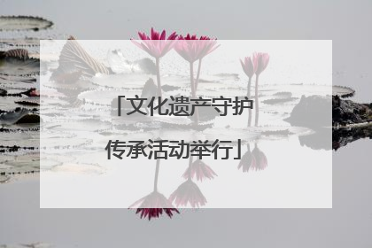 文化遗产守护传承活动举行