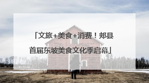 文旅+美食+消费！郏县首届东坡美食文化季启幕
